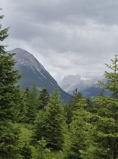 Fotografija s spletne strani Bernhard Jünger na poti