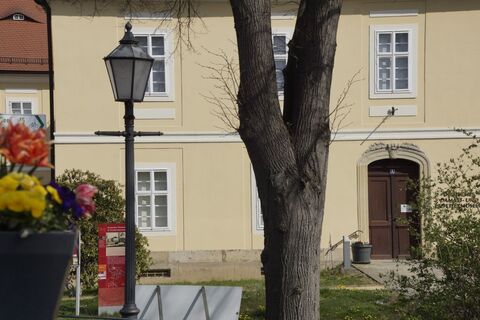 DDFM Großschönau mit Laterne und Frühlingsblumen