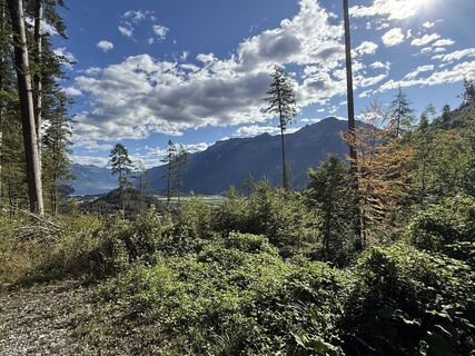 Fotografija s spletne strani Kurt Von  Kurt na poti