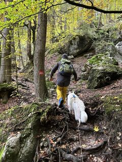 Photo de Stephan Gerstmeier le long du parcours