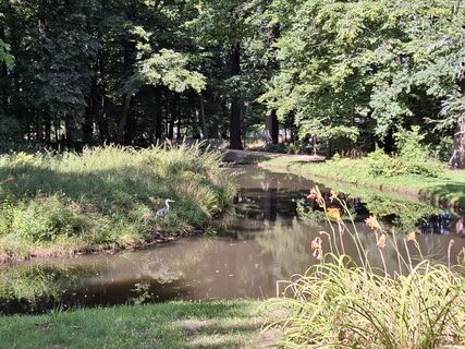 Photo de nordbergschnecke le long du parcours