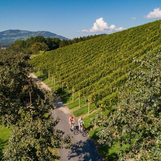 Radfahren entlang der Weingärten in der Oststeiermark