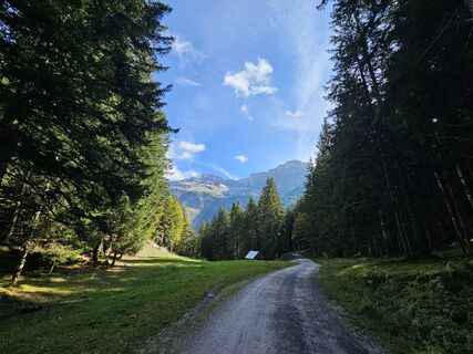 Photo de Michael M. le long du parcours