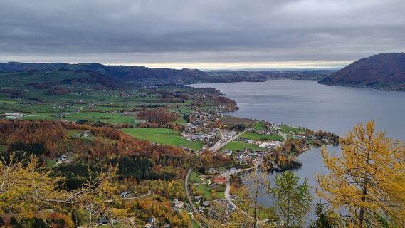 Fotografie de la Stefan Daller de-a lungul turului