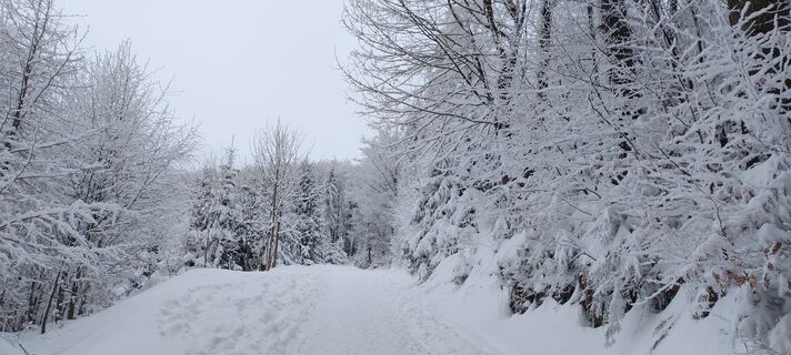 Photo de Sylwiasuchy76 le long du parcours
