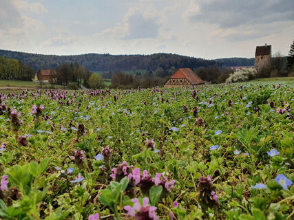 Schweppermannsburg Pfaffenhofen