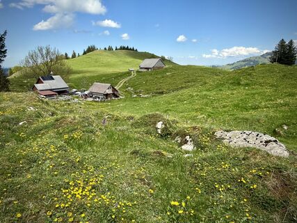Photo de Daniel Herz le long du parcours