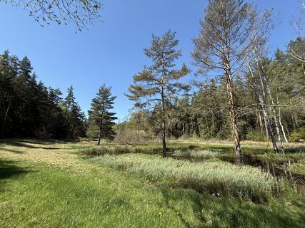 Zdjęcie z Norbert Herbig wzdłuż trasy