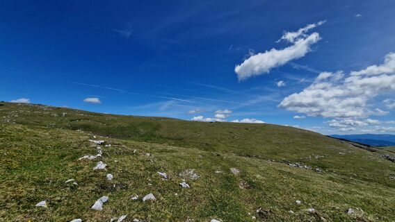 Photo de EP87 le long du parcours