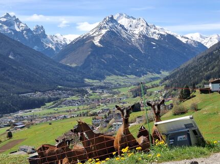 Фото с сайта Toni T. во время экскурсии