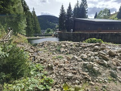 Photo de Sabine Krohn le long du parcours