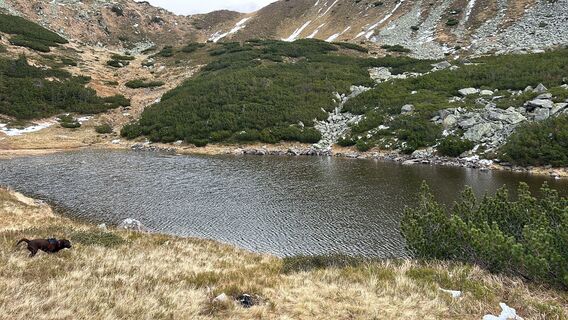 Fotografia z Andreas berdev na trase