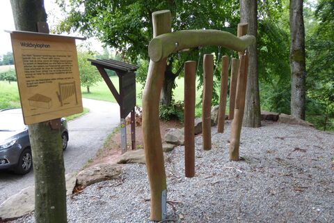 Waldsinnpfad Spechbach
