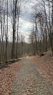 Foto de Richard Vlcek a lo largo del recorrido