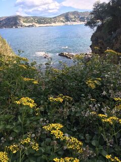 Zdjęcie z Robert Kremlicka wzdłuż trasy