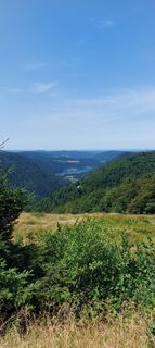 Foto von Friedbert Stegmann entlang der Tour