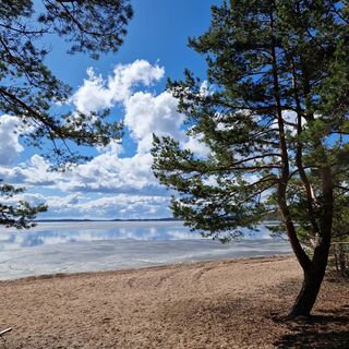 Päihäniemen Naturpfad
