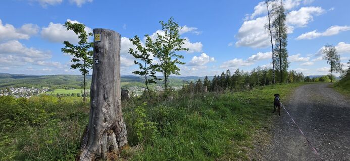 Foto von Kerstin Lindam entlang der Tour