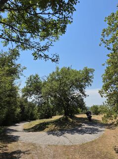 Fotografija s spletne strani Walter Dienstl na poti