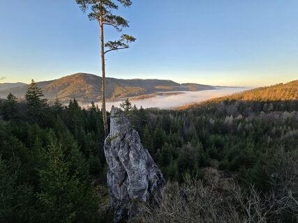 Fotografia z TwilightTea na trase