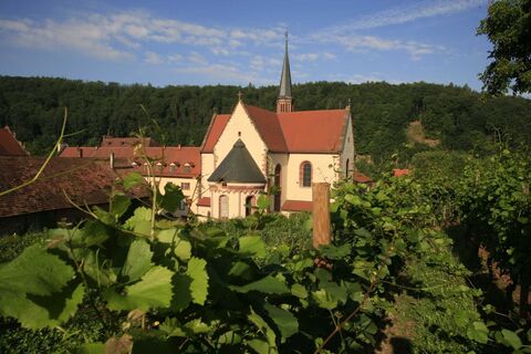 Kloster Bronnbach