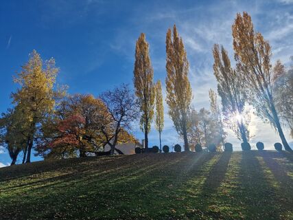 Foto från Michael Kainz 4 under resans gång