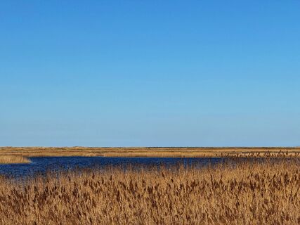 Zdjęcie z Natalia.W wzdłuż trasy