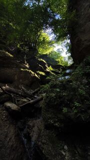Fotografia z Cati W1985 na trase