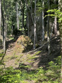 Foto från Harald Mang under resans gång