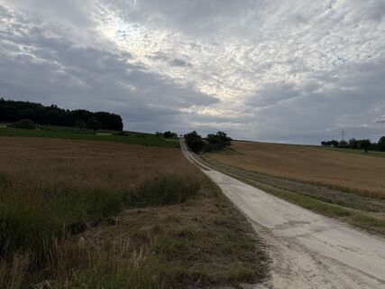 Photo de Schaali le long du parcours