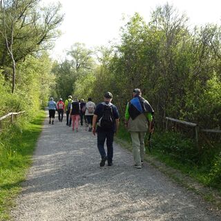Fußweg durch das Naturschutzgebiet