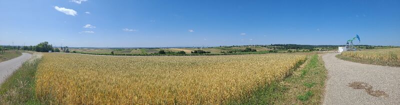 Foto von mmecki entlang der Tour