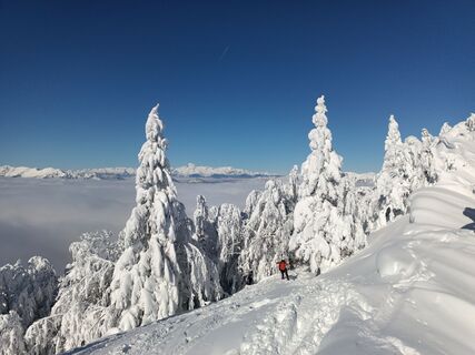 Foto fra Damijan Novak underveis på turen
