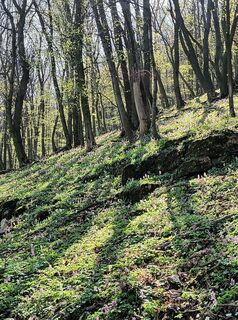 Foto de Julika Jármer a lo largo del recorrido
