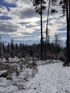 Photo de Flocke Florian le long du parcours