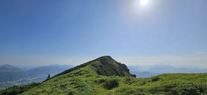 Foto da garrincha lungo il tour