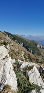 Photo de Wolfgang Suschnig le long du parcours