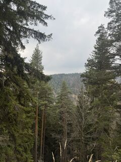 Fotografija s spletne strani zizi a na poti