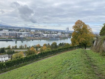 Blick hinunter nach Basel
