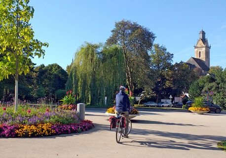 Radfahrer Stadtpark StrotherStr