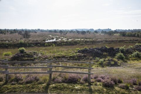 Aussichtshügel Dalum-Wietmarscher Moor