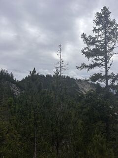 Fotografija s spletne strani Thomas Wally na poti