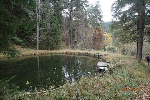 Fischteich