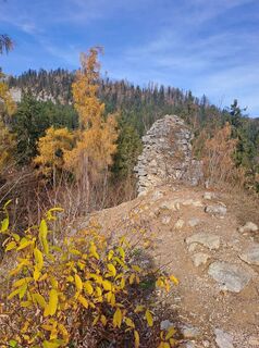 Fotografija s spletne strani Johanna Bachlechner na poti