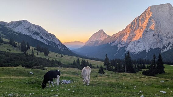 Foto von Rudi entlang der Tour