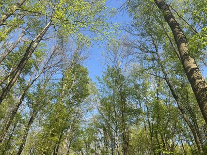 Foto de Reti Alicia a lo largo del recorrido