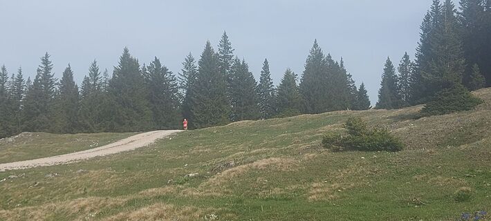 Fotografija s spletne strani Klaus Gruber 3 na poti