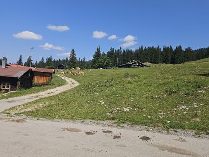 Photo de Volker Wagener le long du parcours