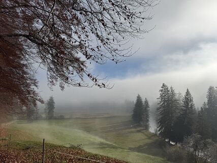 Zdjęcie z Denise Miller wzdłuż trasy