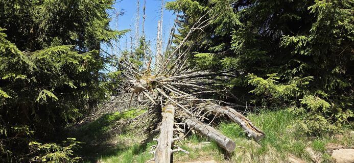 Fotografija s spletne strani Rainer Kroschwald na poti